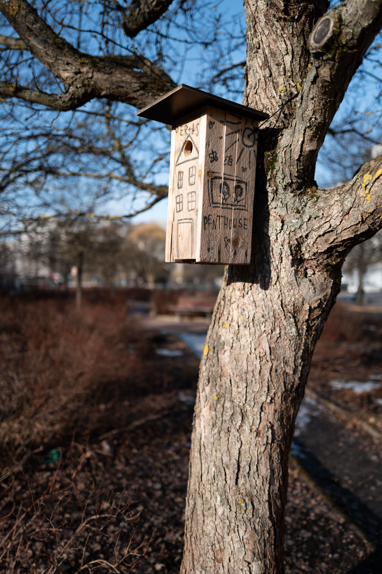 SUMMILUX 1:1.7/28 ASPH. sample photo. Birdhouse morning photography