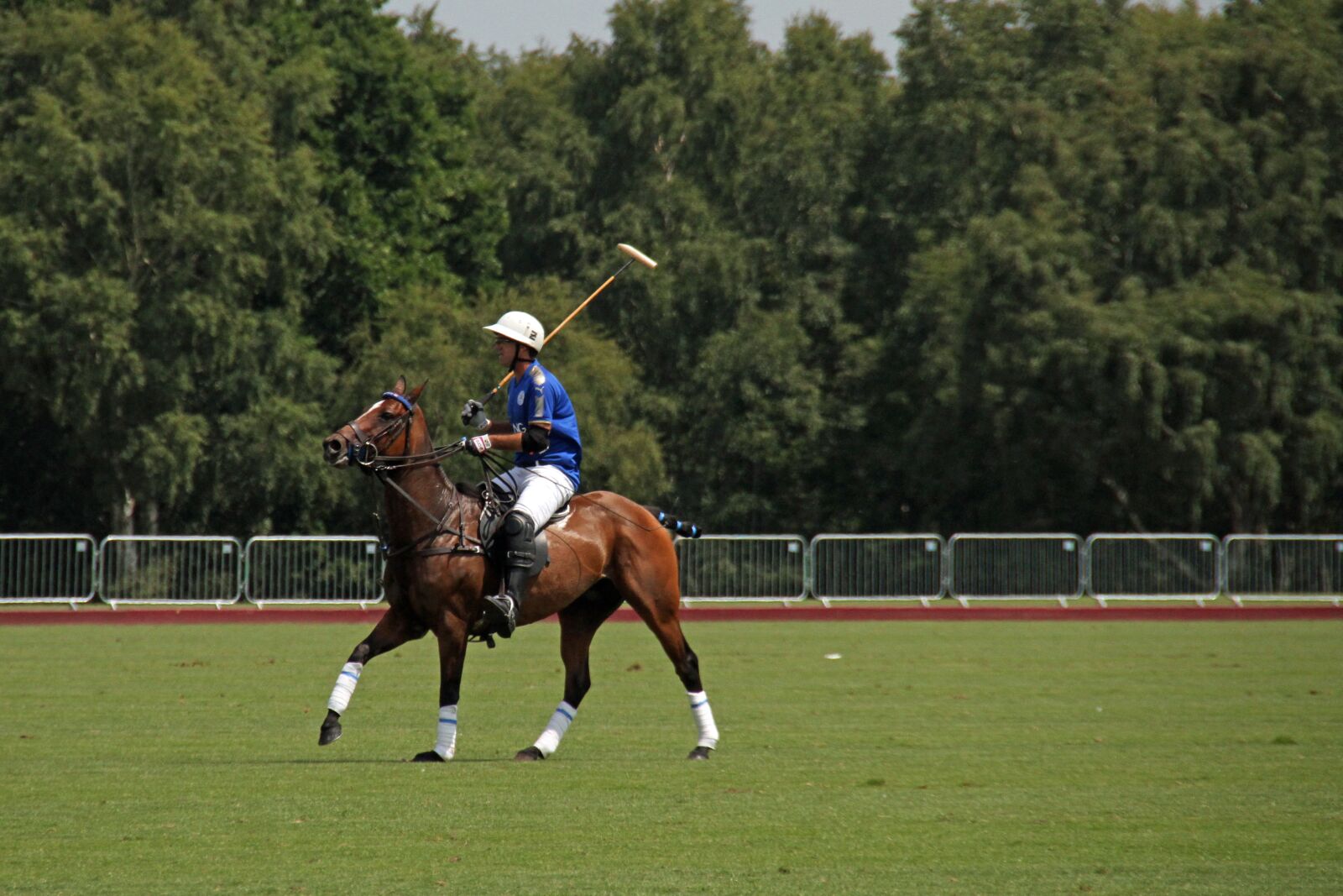 Canon EOS 7D sample photo. Polo, horses, competition photography