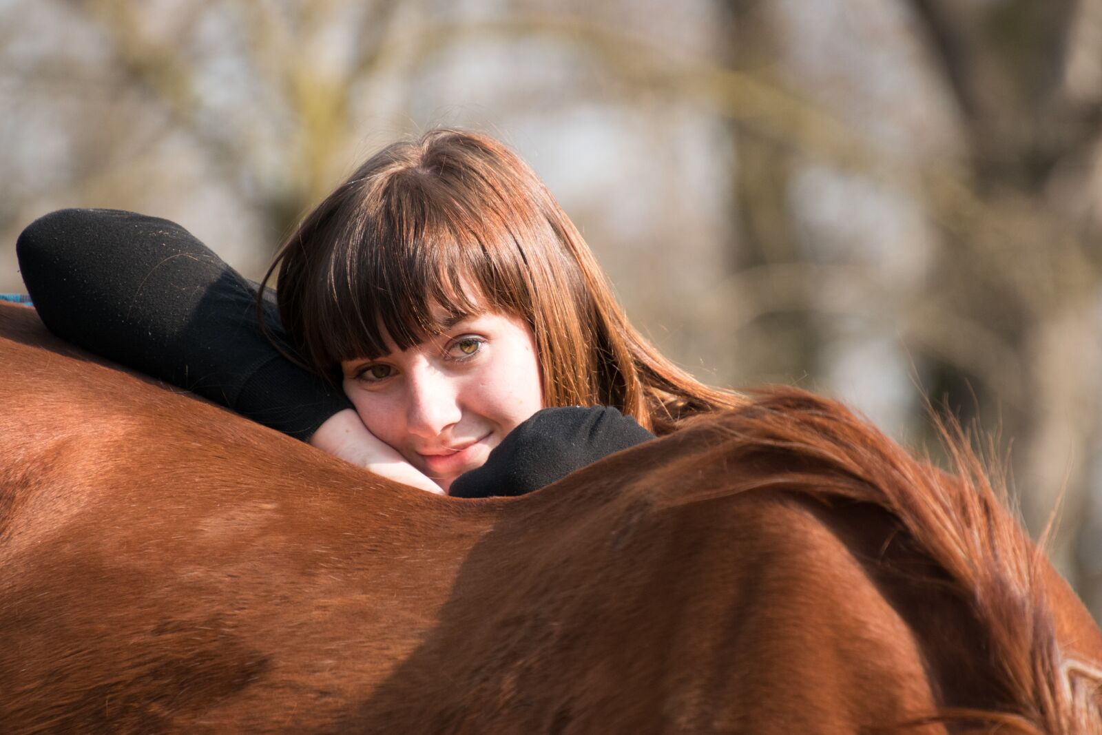 Nikon D3300 sample photo. Horse, fuchs, animal photography
