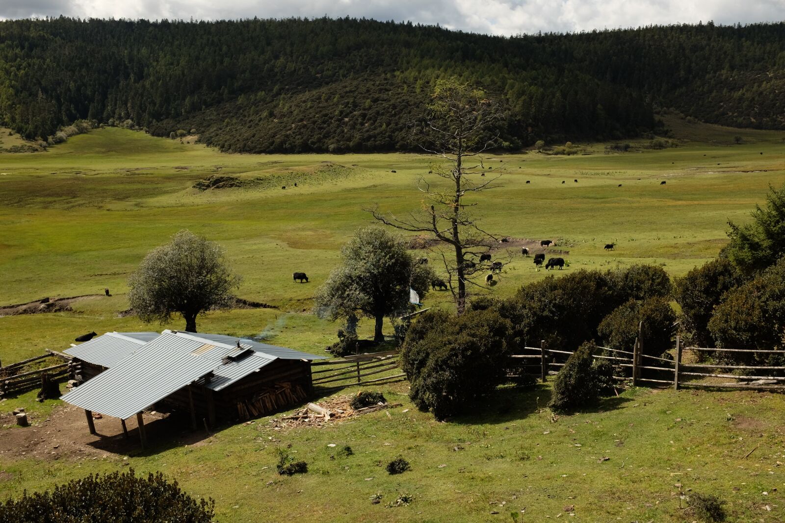 Fujifilm X100T sample photo. Prairie, shangri-la's, in yunnan photography