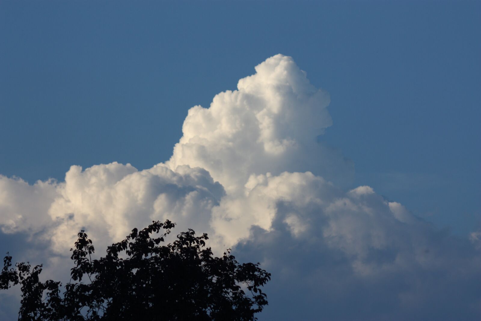 Canon EOS 450D (EOS Rebel XSi / EOS Kiss X2) sample photo. Sky, clouds, clouds form photography