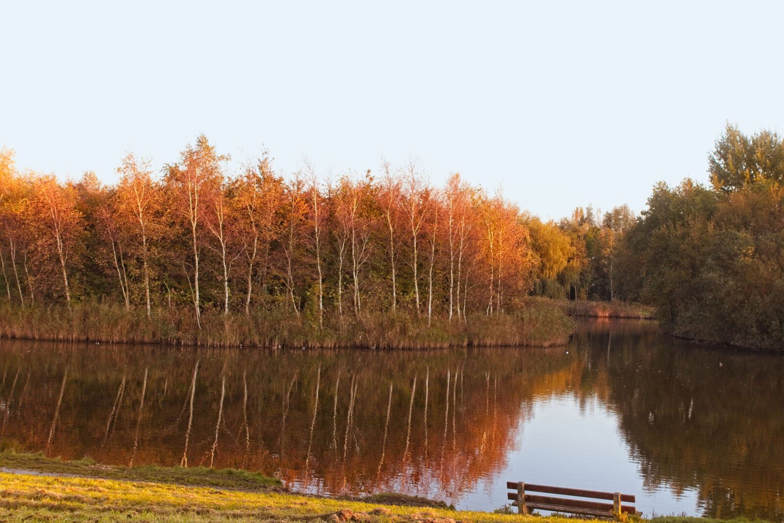 Canon EOS 70D sample photo. Pond, water, autumn photography