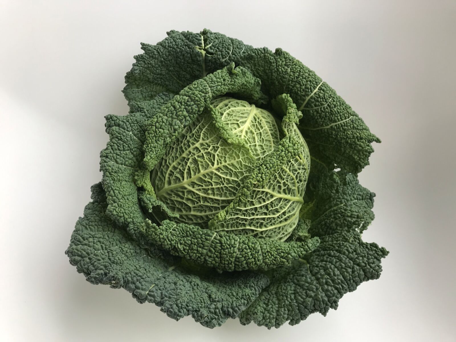 iPhone 7 back camera 3.99mm f/1.8 sample photo. Cabbage, green, vegetables photography