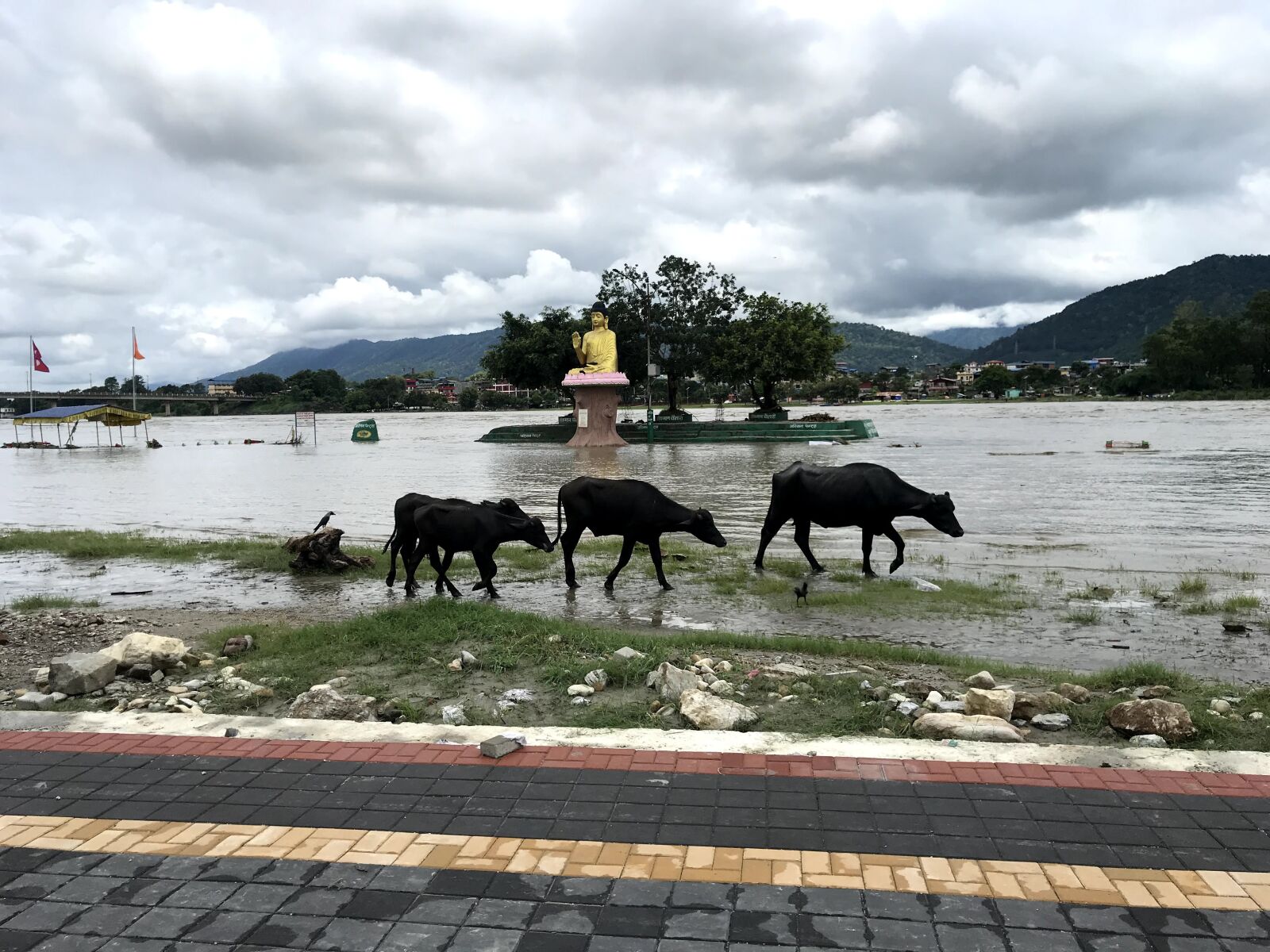 iPhone 7 back camera 3.99mm f/1.8 sample photo. Buddha, statue, flood photography