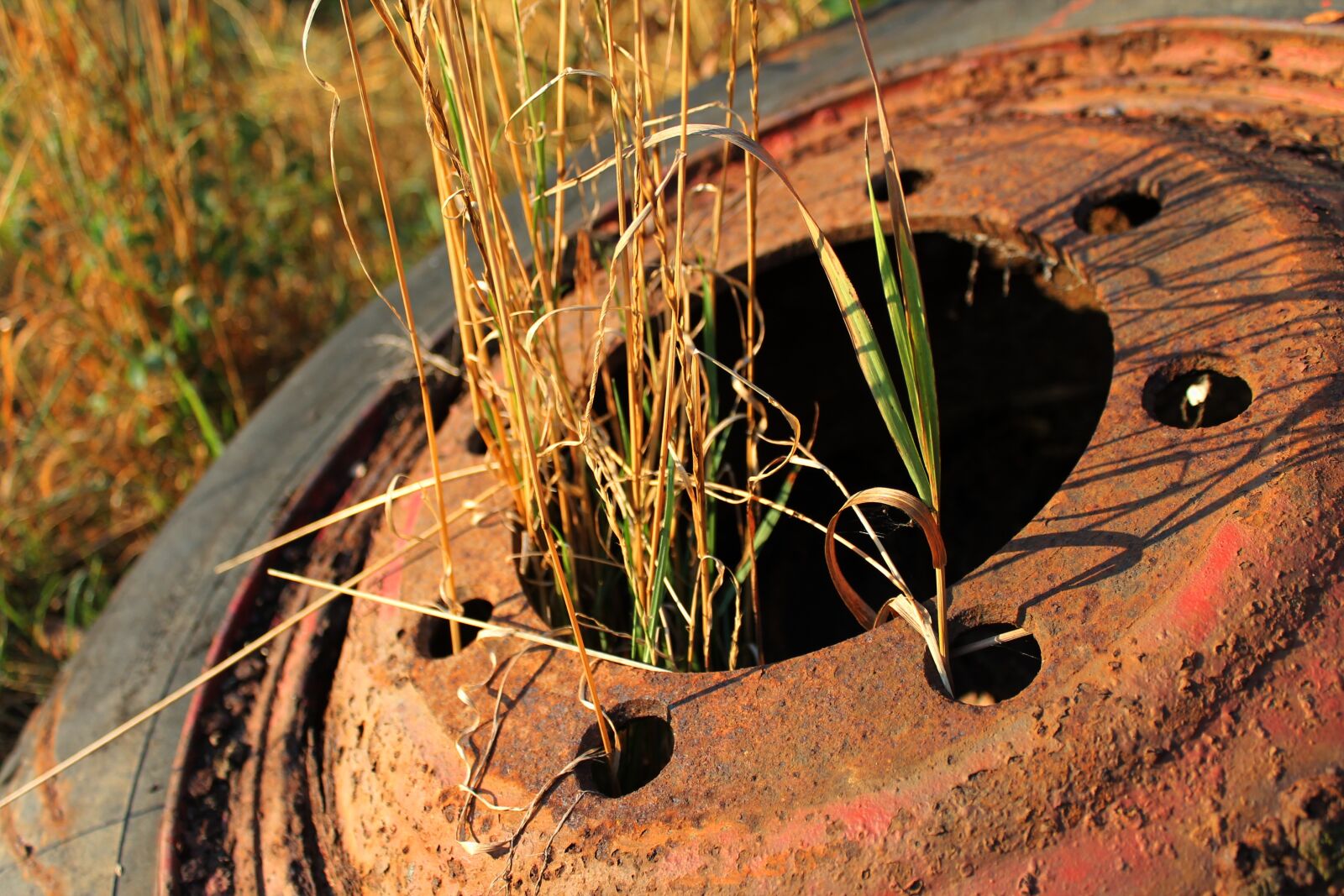 Canon EOS 1100D (EOS Rebel T3 / EOS Kiss X50) sample photo. Rust, wheel, metal photography