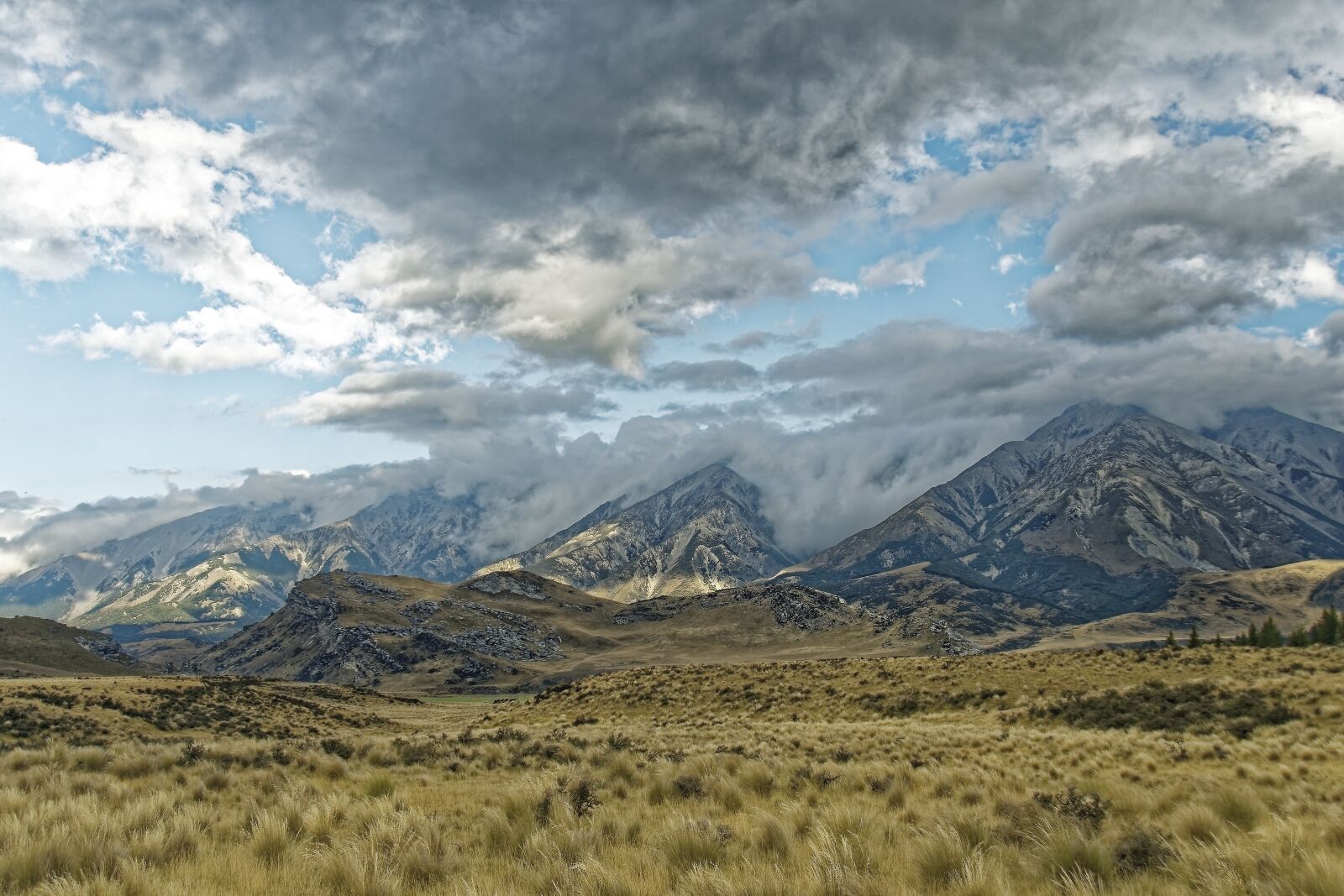 Nikon D500 sample photo. New zealand, craigieburn forest photography