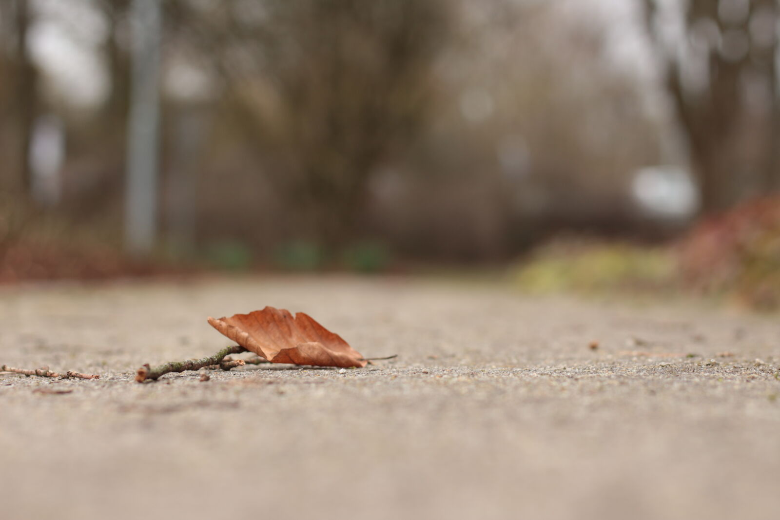 Canon EOS 700D (EOS Rebel T5i / EOS Kiss X7i) + Canon EF 50mm F1.8 STM sample photo. Surface, level, of, dry photography