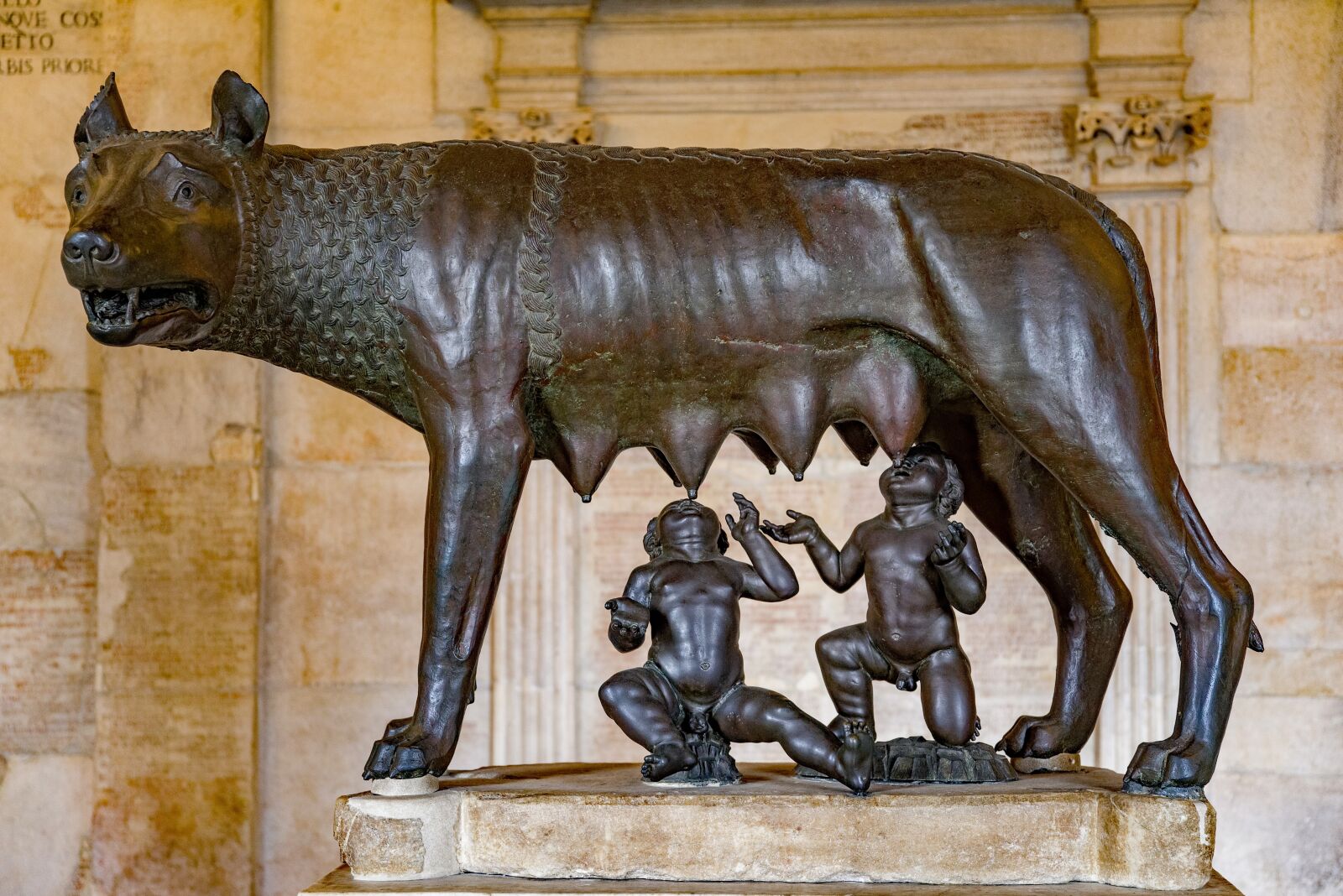 Pentax K-1 Mark II sample photo. She-wolf, wolf, rome photography