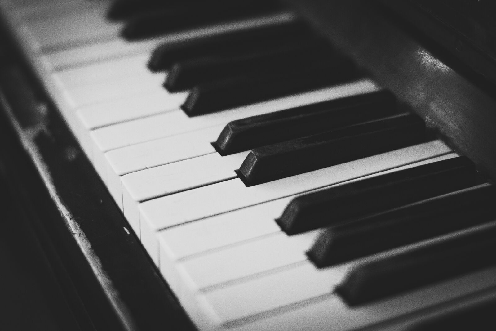 Canon EOS 60D + Sigma 50mm F1.4 EX DG HSM sample photo. Music, piano, compose photography