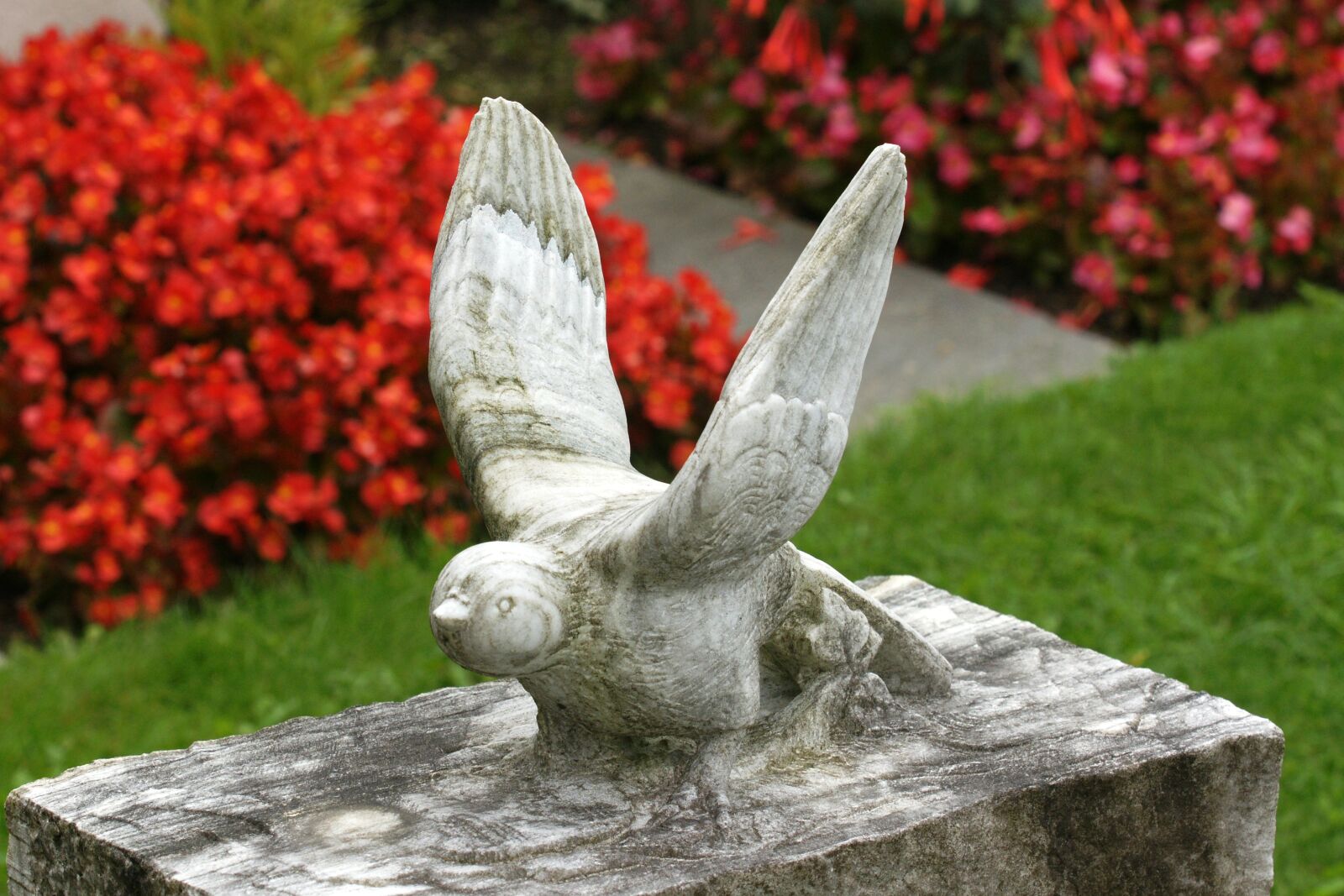 Sony Alpha DSLR-A700 sample photo. Bird, dove, sculpture photography