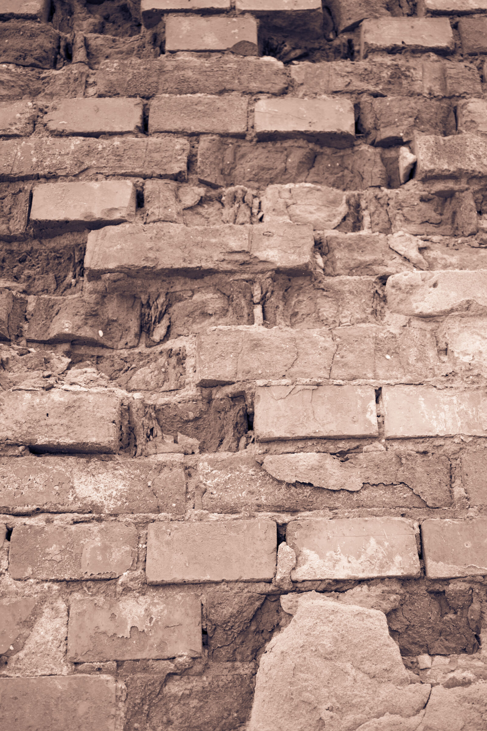 Canon EF-S 24mm F2.8 STM sample photo. Bricks, wall photography
