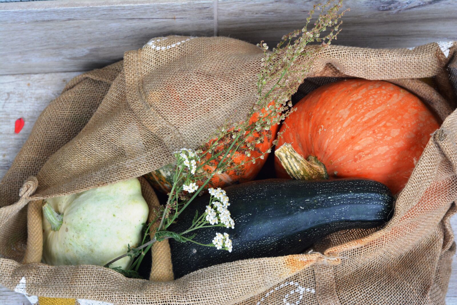 Nikon D5200 sample photo. Pumpkin, zucchini, patison photography