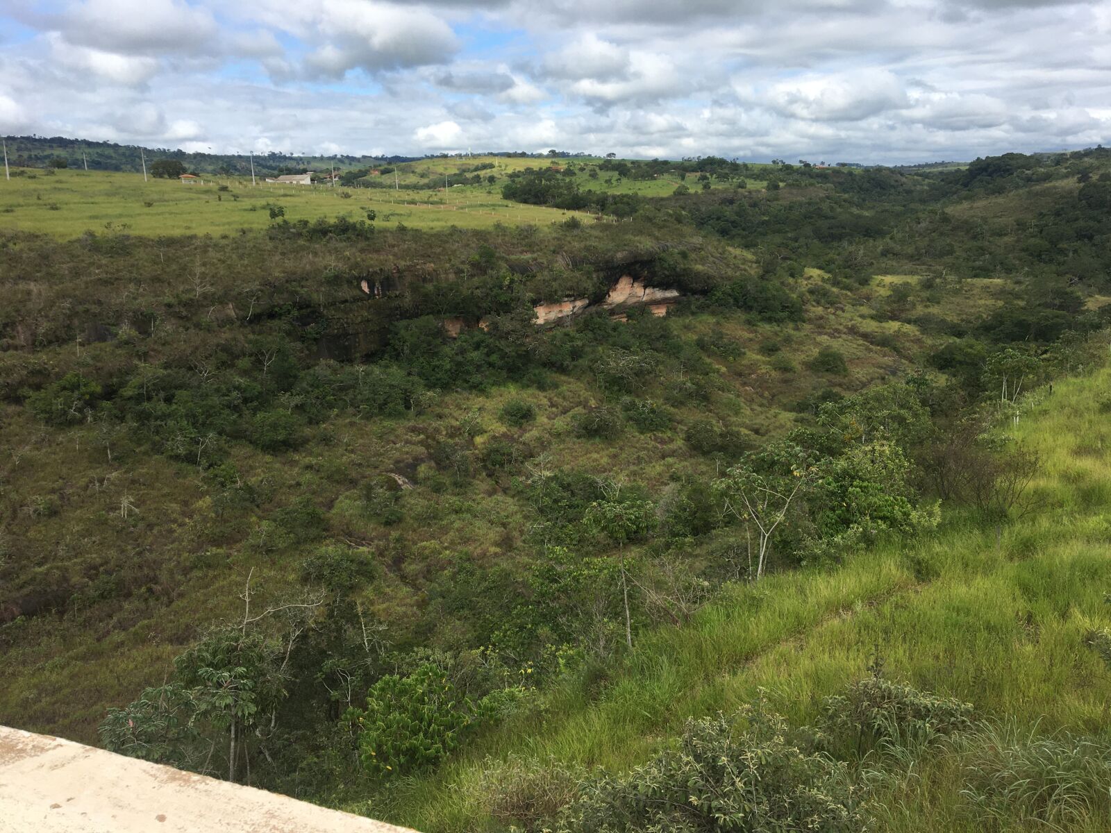 Apple iPhone 6s sample photo. Vegetation, pic of the photography