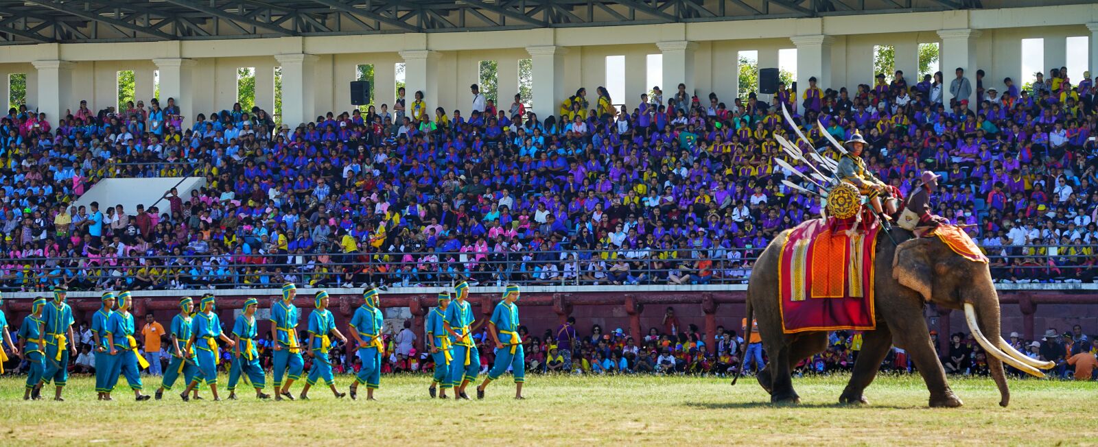 Sony FE 70-300mm F4.5-5.6 G OSS sample photo. Elephant, festival, surin photography