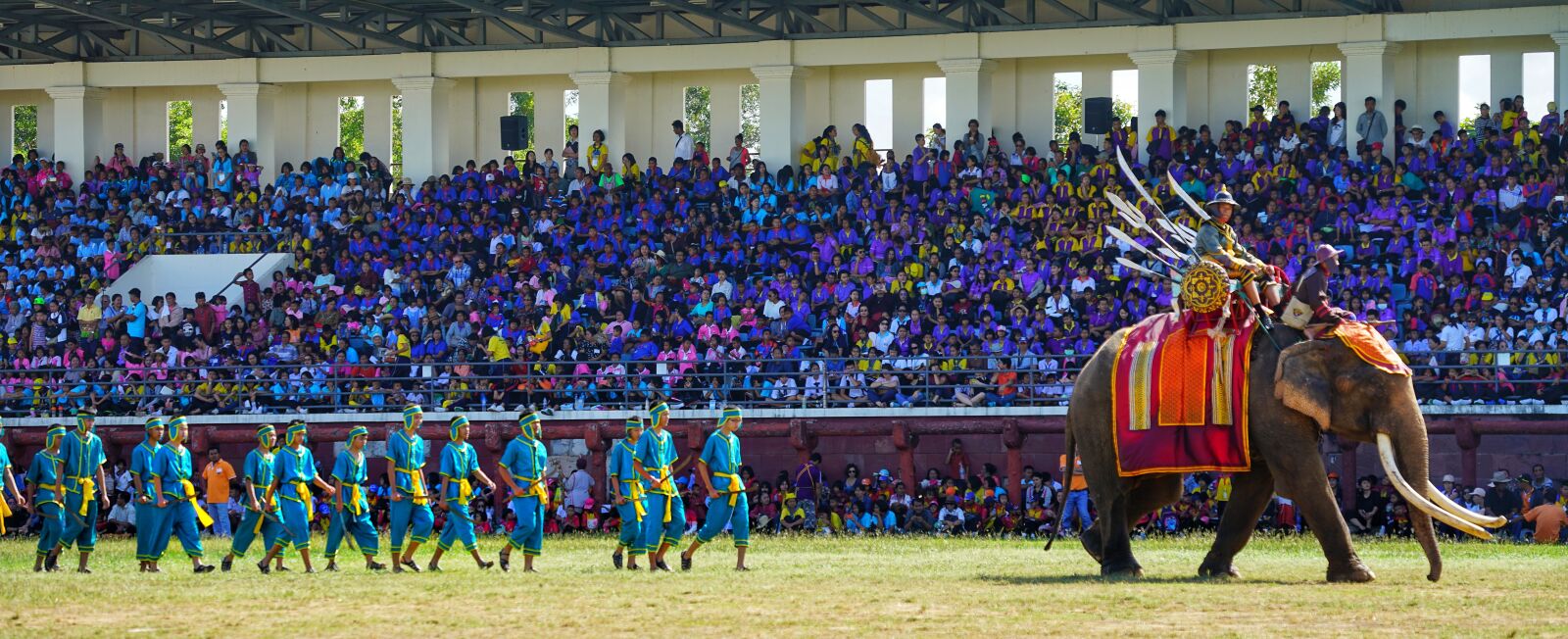 Sony a7R II + Sony FE 70-300mm F4.5-5.6 G OSS sample photo. Elephant, festival, surin photography