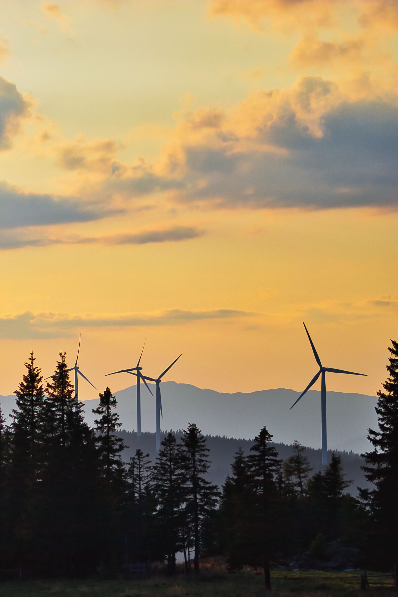 Canon EOS 80D sample photo. Sunset, windr der, wind photography