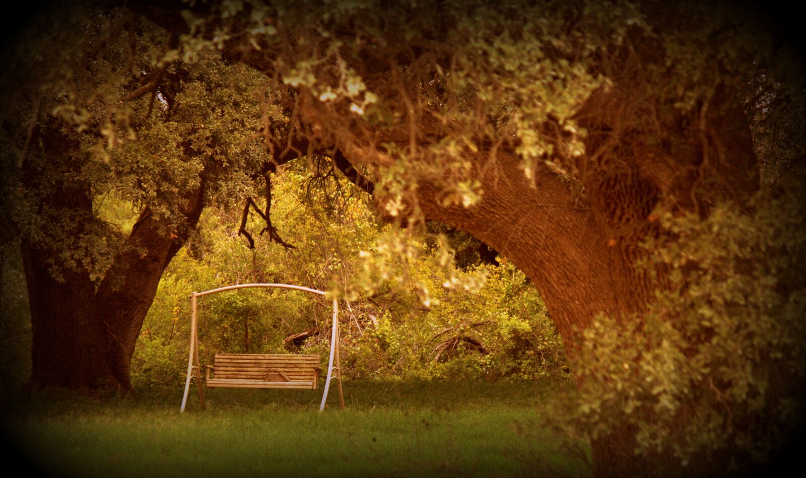 Canon EOS 50D sample photo. Swing, peaceful, relaxation photography