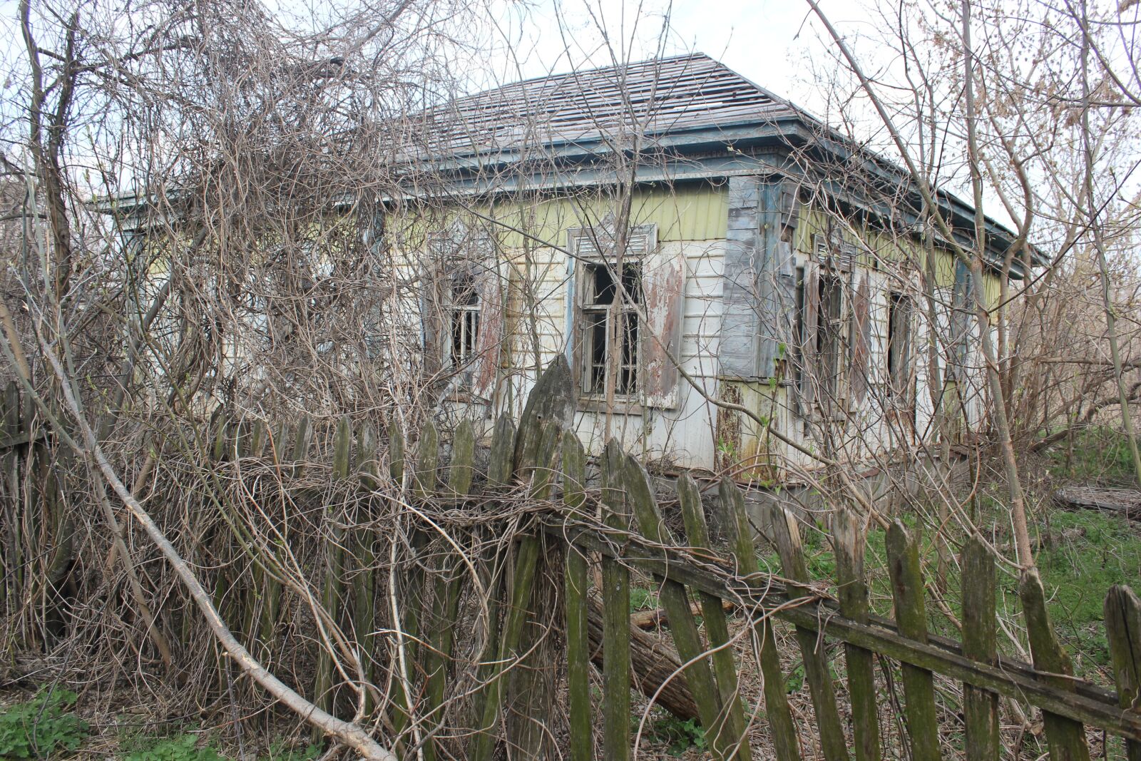 Canon EOS 550D (EOS Rebel T2i / EOS Kiss X4) sample photo. The ruins of the photography