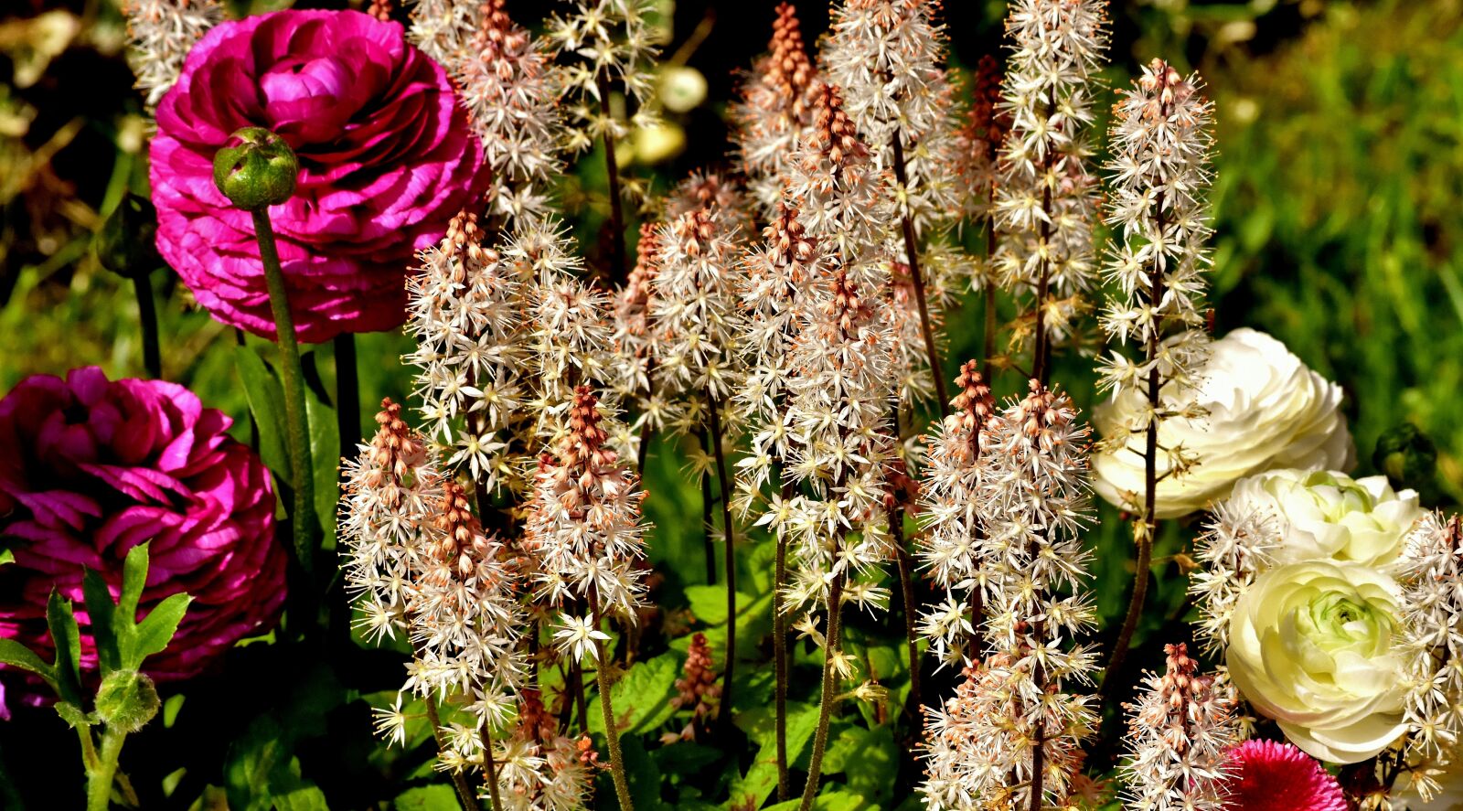 Nikon D7200 sample photo. Flowers, spring, summer photography
