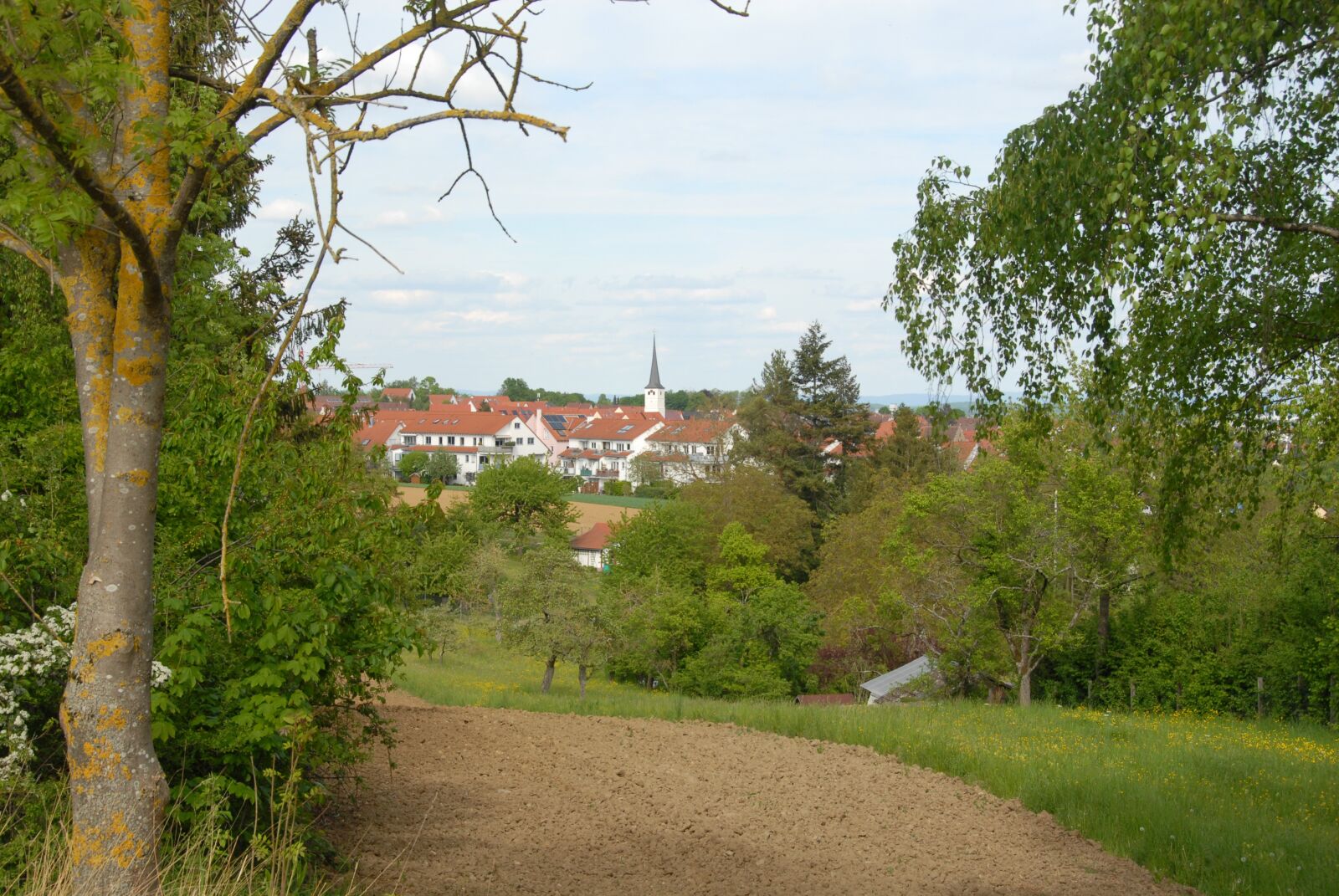 Nikon D200 sample photo. Höfingen, leonberg, arable photography