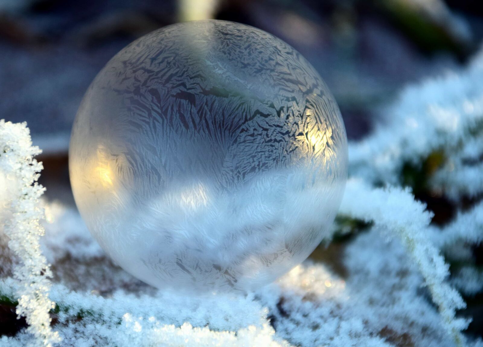Nikon D3300 sample photo. Nature, winter, ice, reflection photography