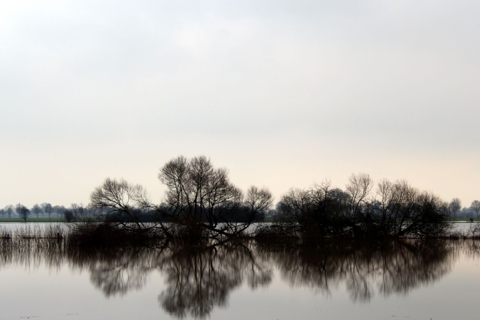 Canon EOS 1300D (EOS Rebel T6 / EOS Kiss X80) sample photo. Nature, waters, reflection photography