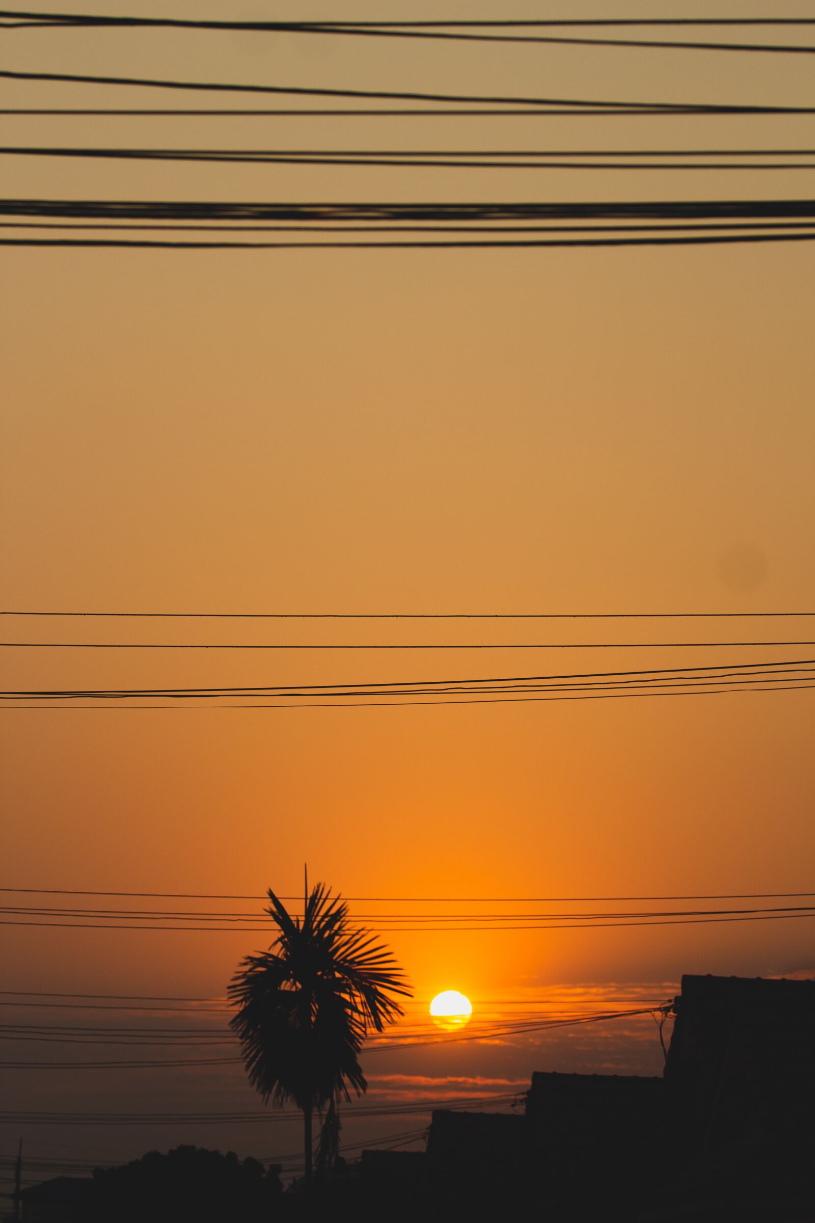 Canon EOS 700D (EOS Rebel T5i / EOS Kiss X7i) + Canon EF 70-200mm F4L USM sample photo. The sun, light, nature photography