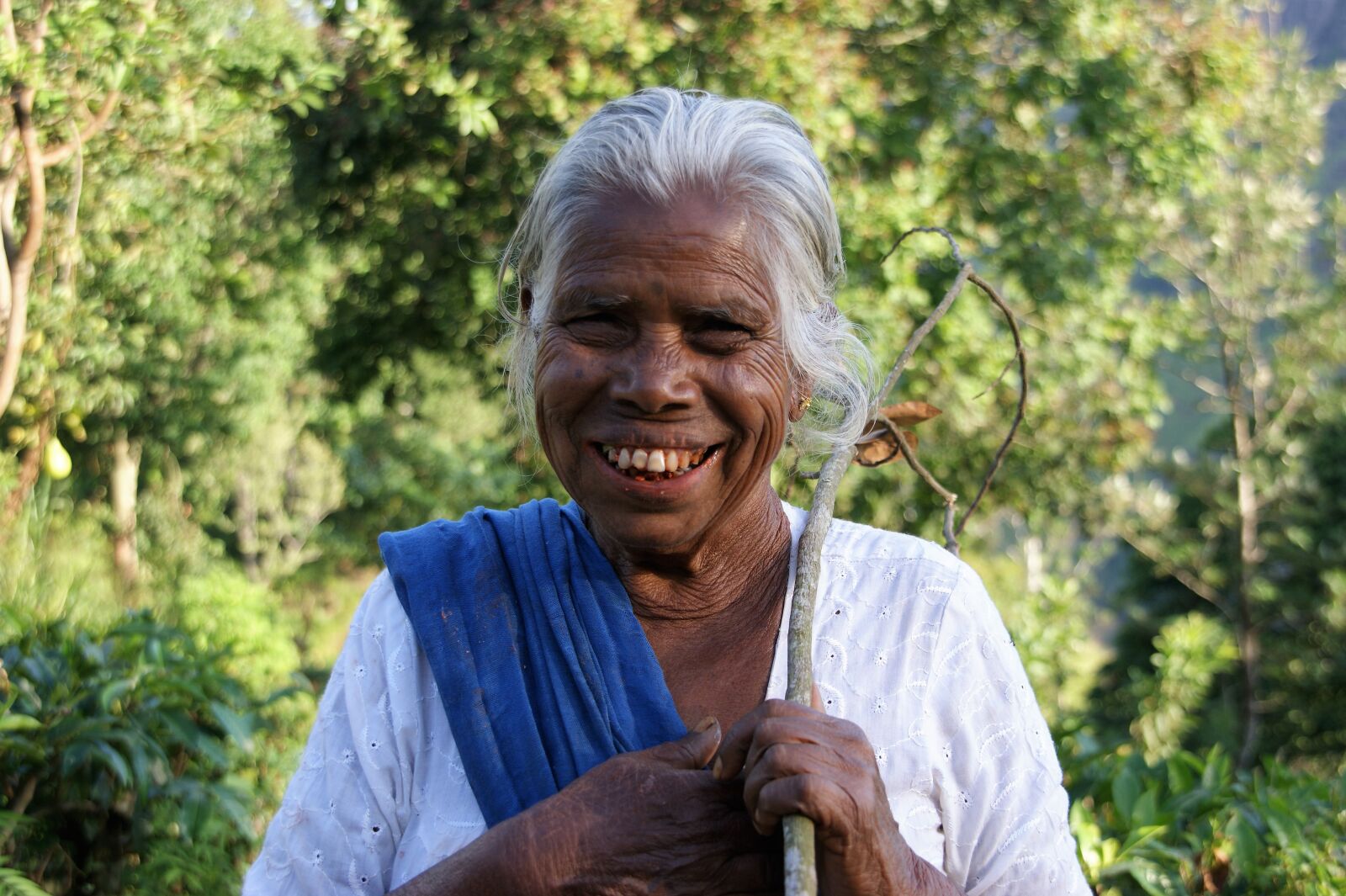 Sony Alpha DSLR-A350 sample photo. Nature, human, senior photography