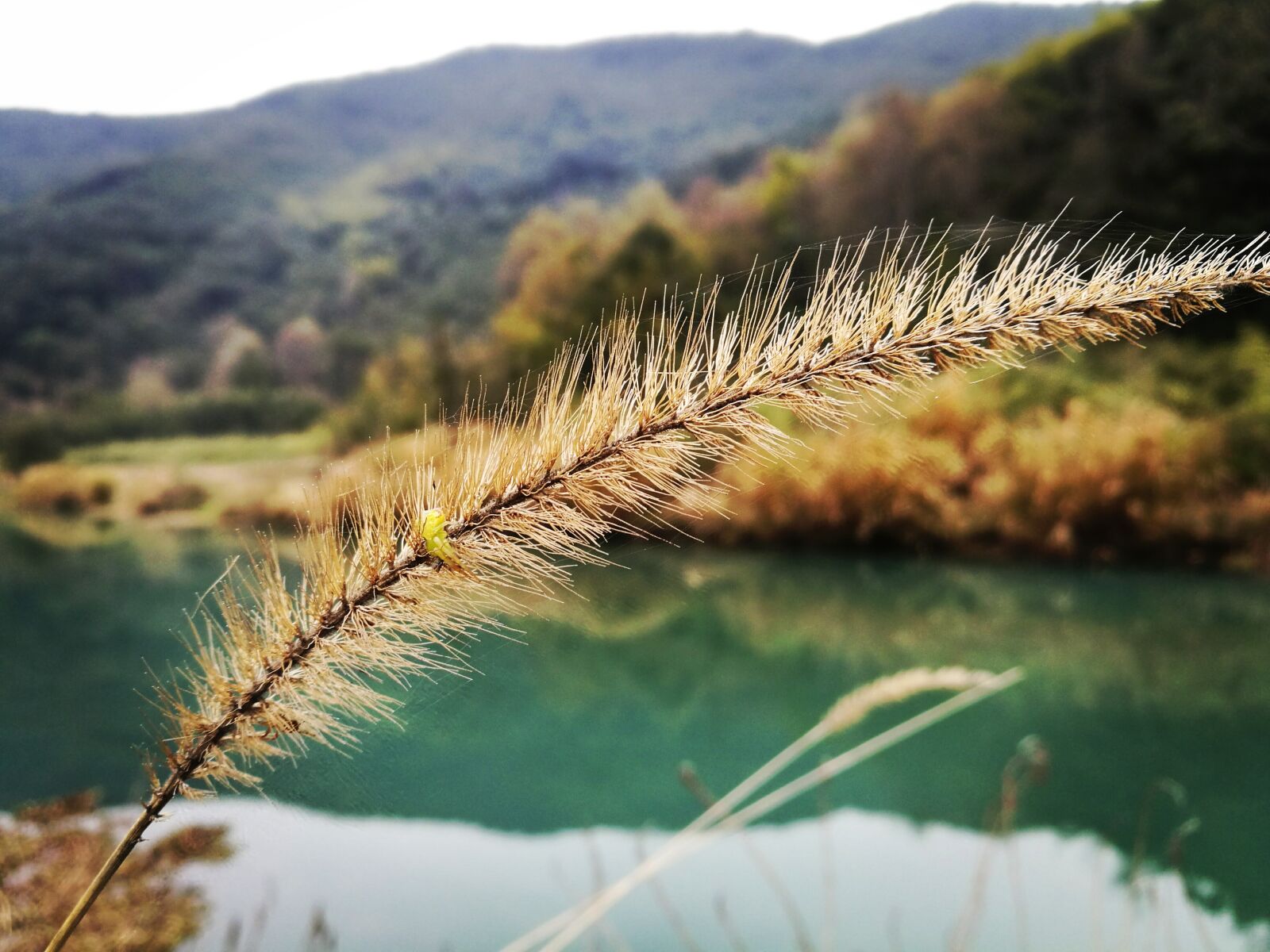 HUAWEI P9 sample photo. The scenery, photography, mito photography