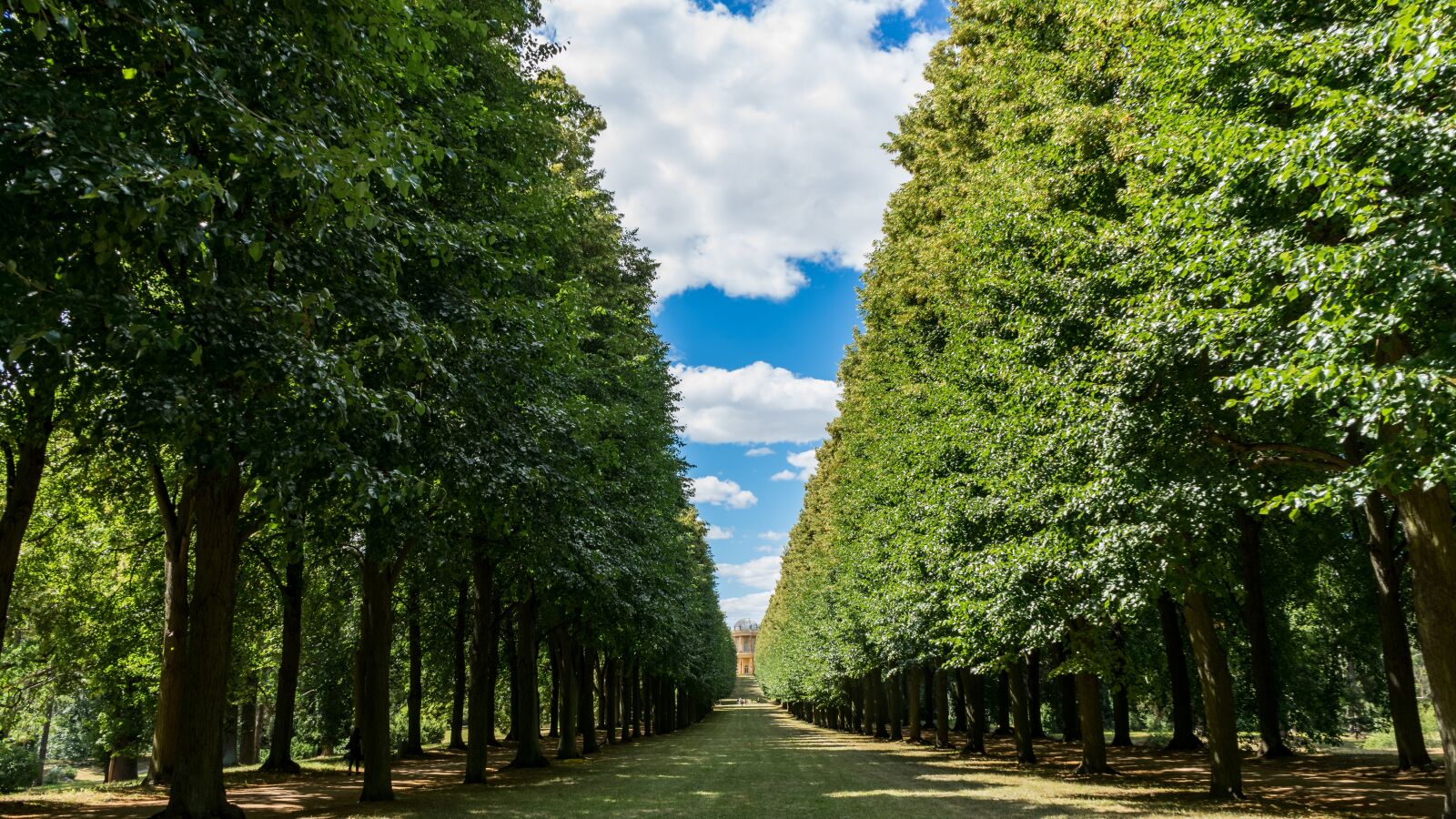 Sony a7 II + Sony FE 28-70mm F3.5-5.6 OSS sample photo. Landscape, avenue, nature photography