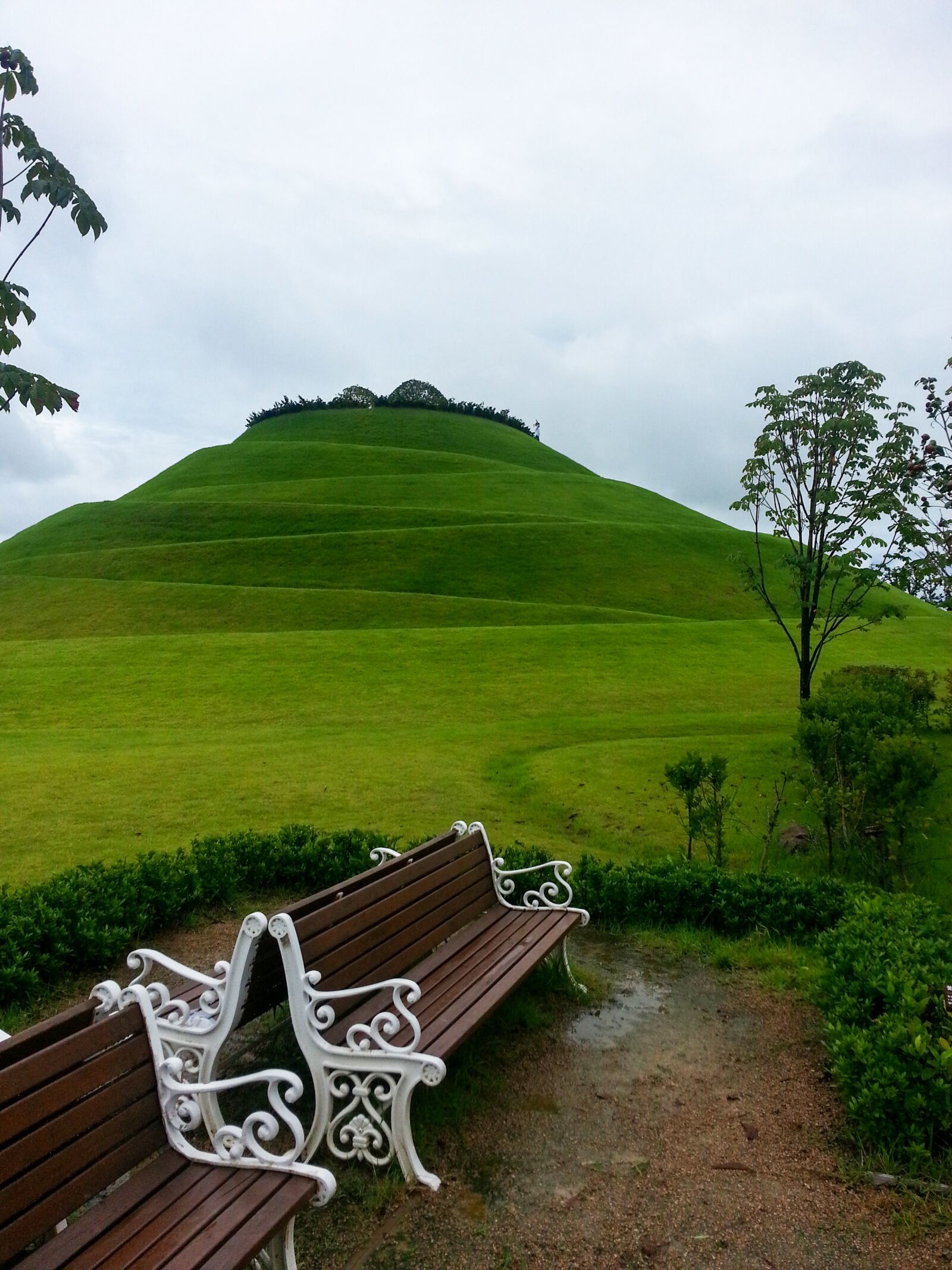 Samsung Galaxy Note2 sample photo. Suncheon, park, suncheon bay photography