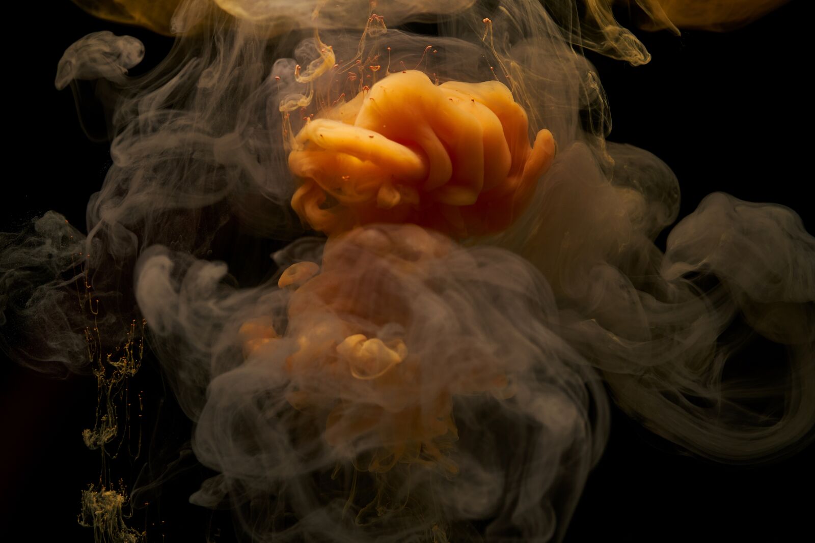 Sigma 85mm F1.4 DG HSM Art sample photo. Abstract, ink, orange photography