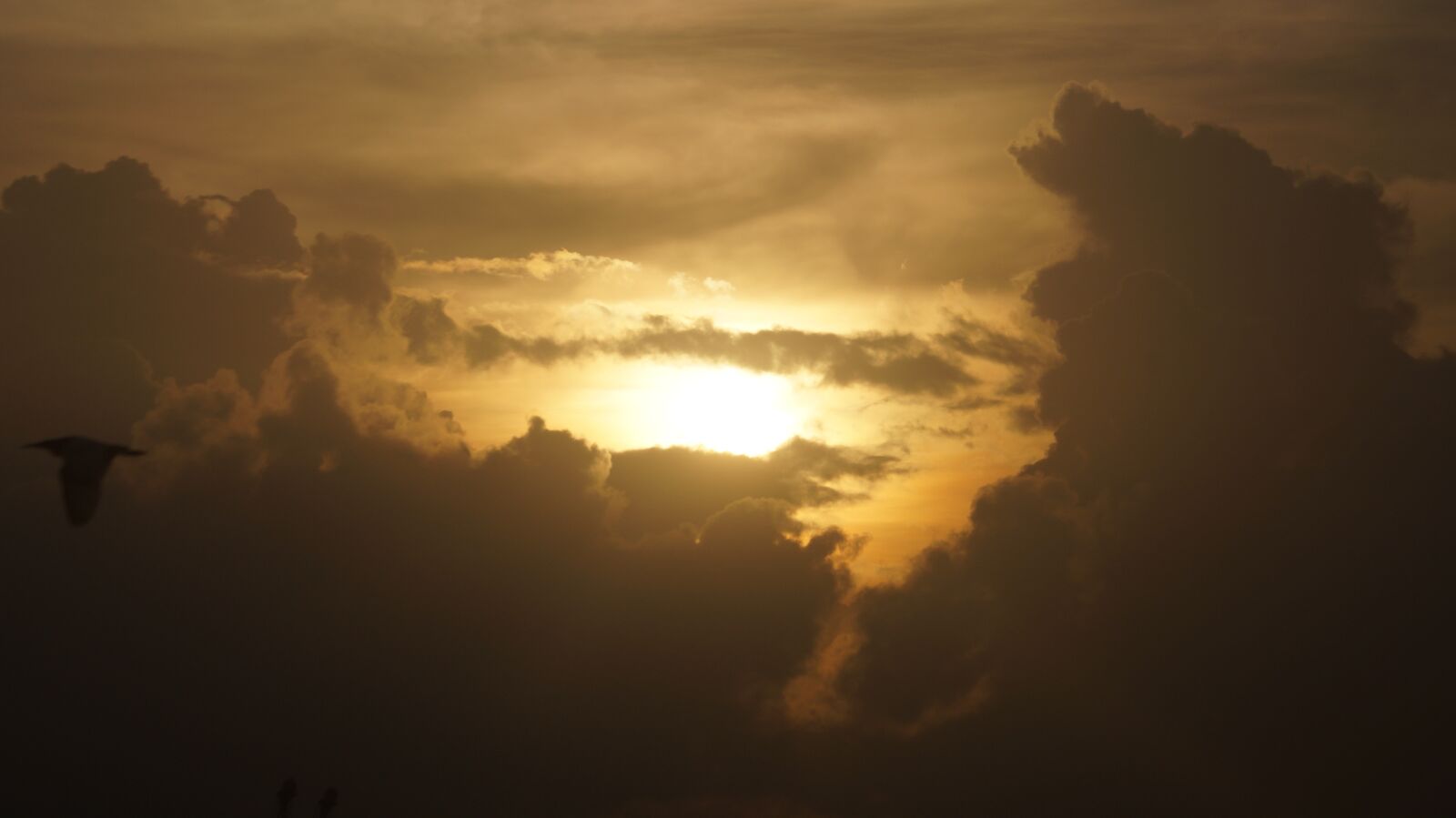 Sony SLT-A58 + Sony DT 55-200mm F4-5.6 SAM sample photo. Nature, sun, clouds photography