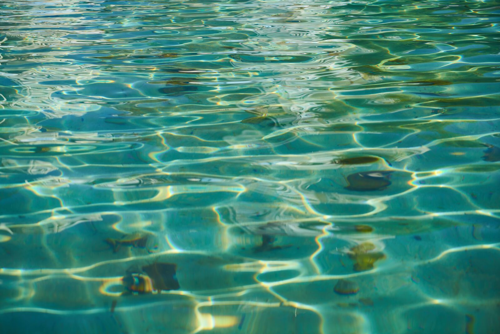 Sony a7R II sample photo. Wave, marine, water photography