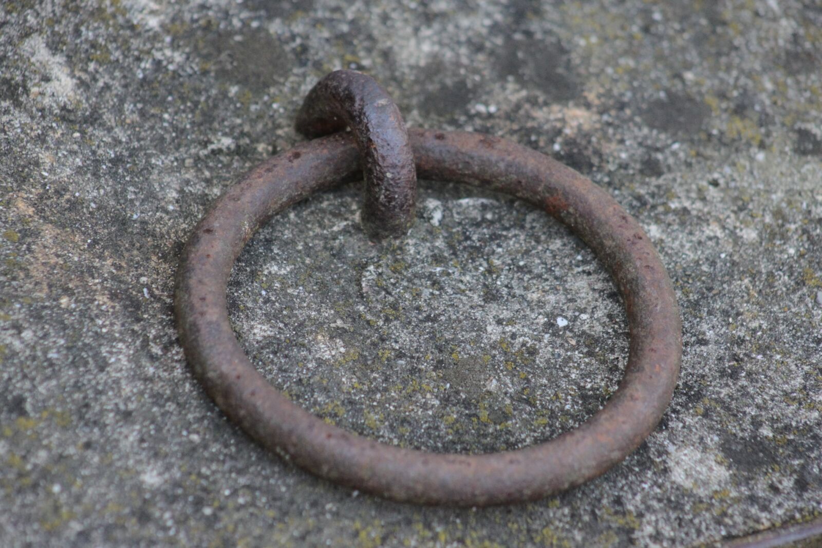 Canon EOS 500D (EOS Rebel T1i / EOS Kiss X3) sample photo. Ring, iron, anchoring photography