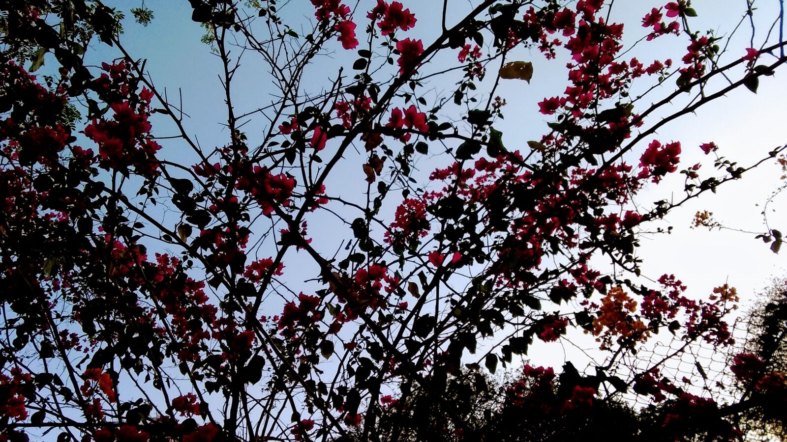 Motorola Moto G (5S) Plus sample photo. Sunset, sky, nature photography