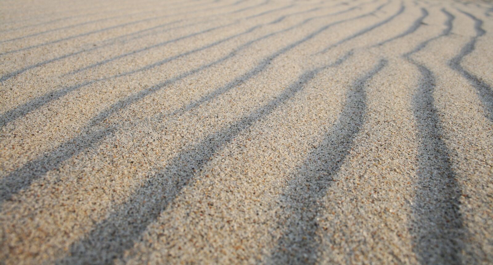 Canon EOS 400D (EOS Digital Rebel XTi / EOS Kiss Digital X) sample photo. Sand, beach, vacations photography