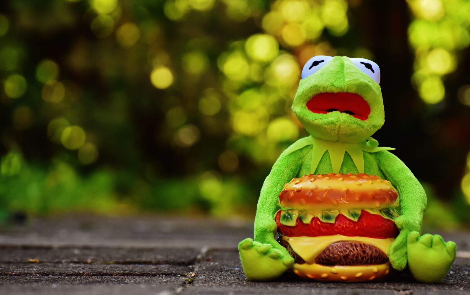 Nikon D7200 sample photo. Kermit, frog, cheeseburger photography