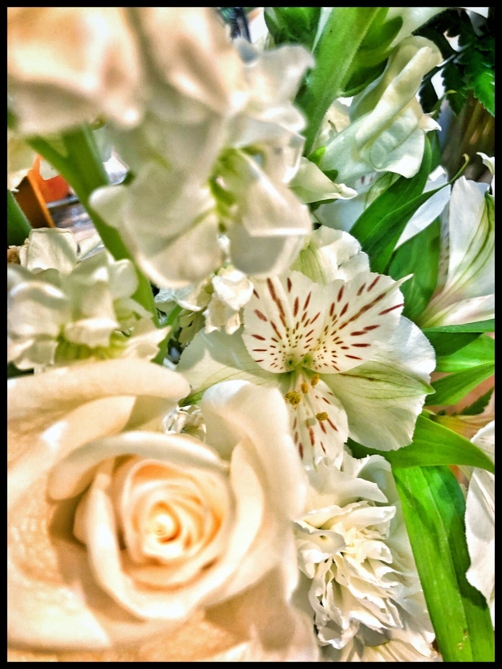 Apple iPhone X sample photo. Flowers, bouquet, roses photography