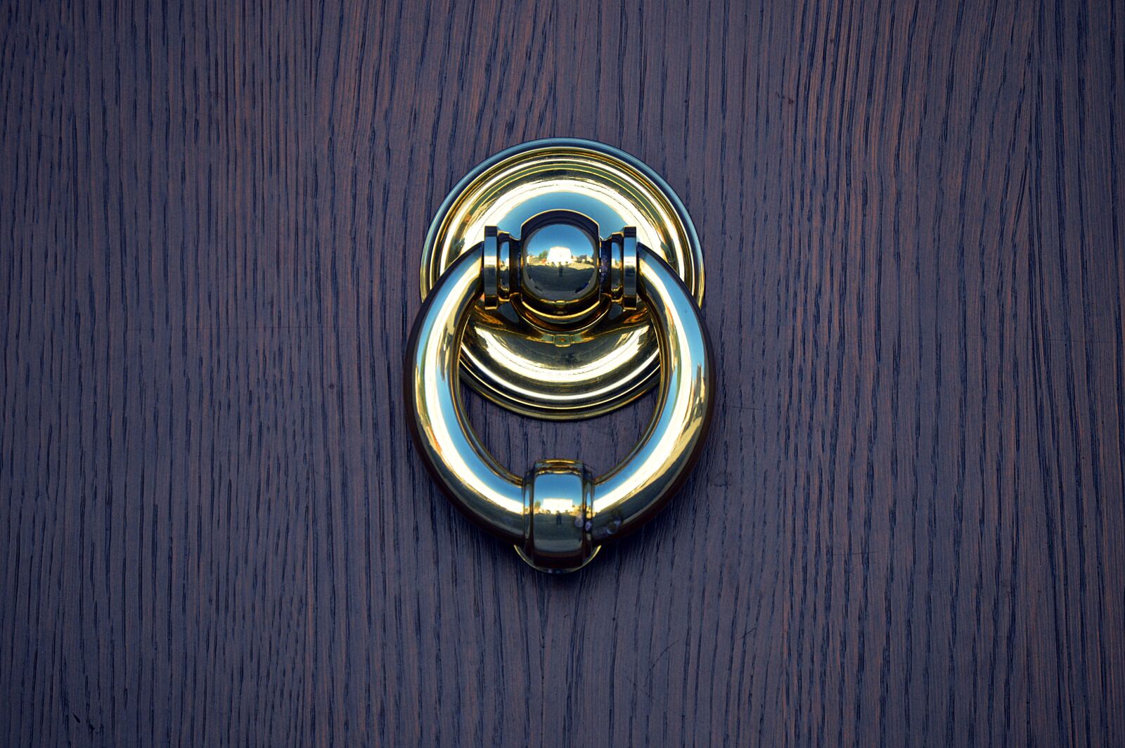 Nikon D3200 sample photo. Door, doorknocker, input photography