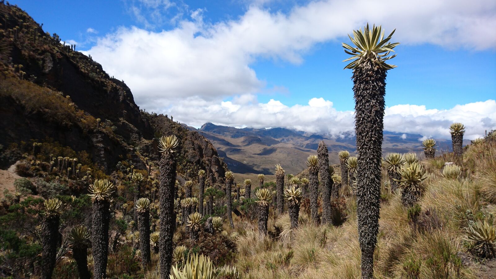 Sony Xperia Z5 Compact sample photo. Colombia, trekking, mountains photography