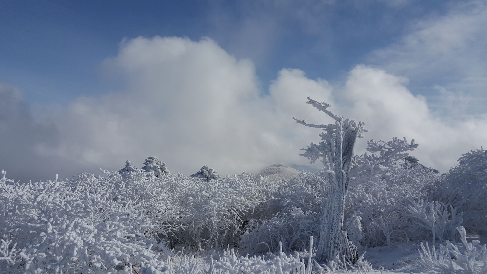 Samsung Galaxy Note5 sample photo. Korea, mountain, taebaeksan, winter photography