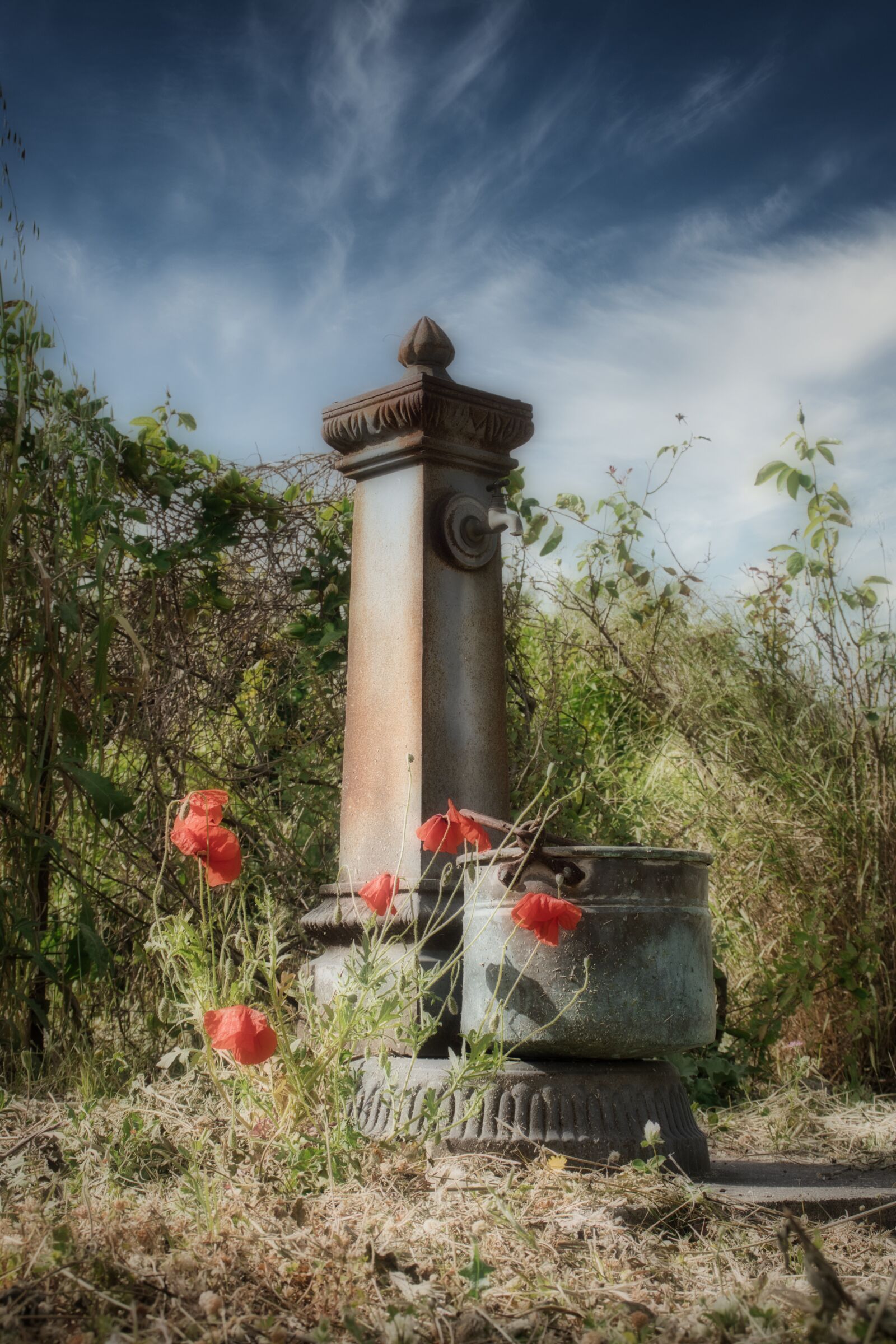 Canon EOS 77D (EOS 9000D / EOS 770D) sample photo. Fontana, fontanella, papaveri photography