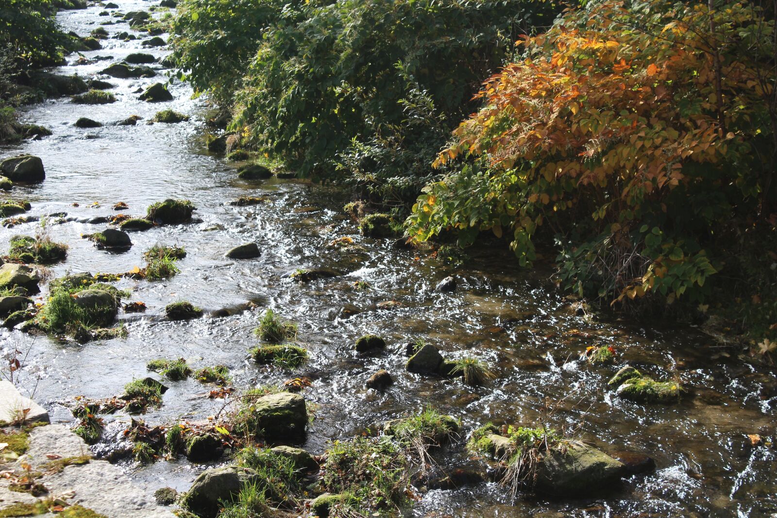 Canon EOS 1200D (EOS Rebel T5 / EOS Kiss X70 / EOS Hi) sample photo. Torrent mountain, water, the photography
