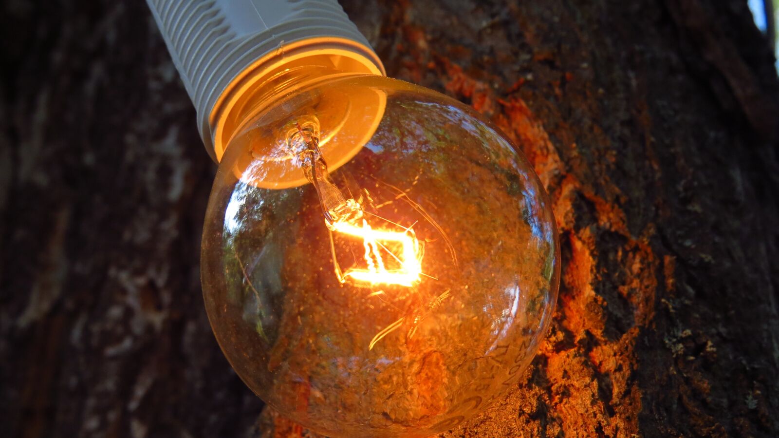 Canon PowerShot SX50 HS sample photo. Lamp, burn, bright photography