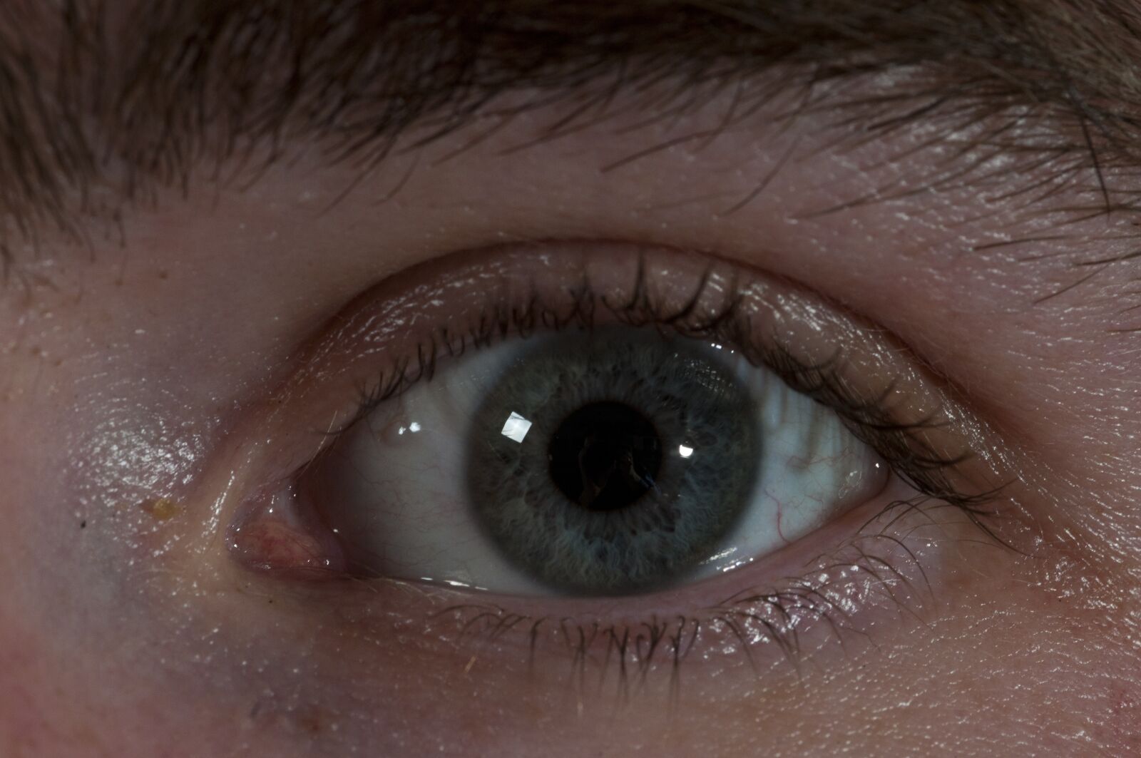 Nikon D300 sample photo. Eye, eyeball, close up photography