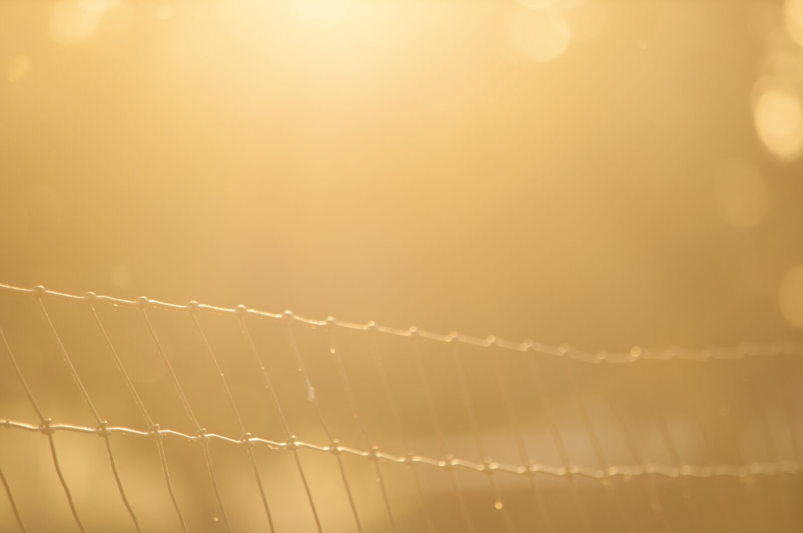 Nikon D5000 sample photo. Sunshine, sunset, sunrise photography