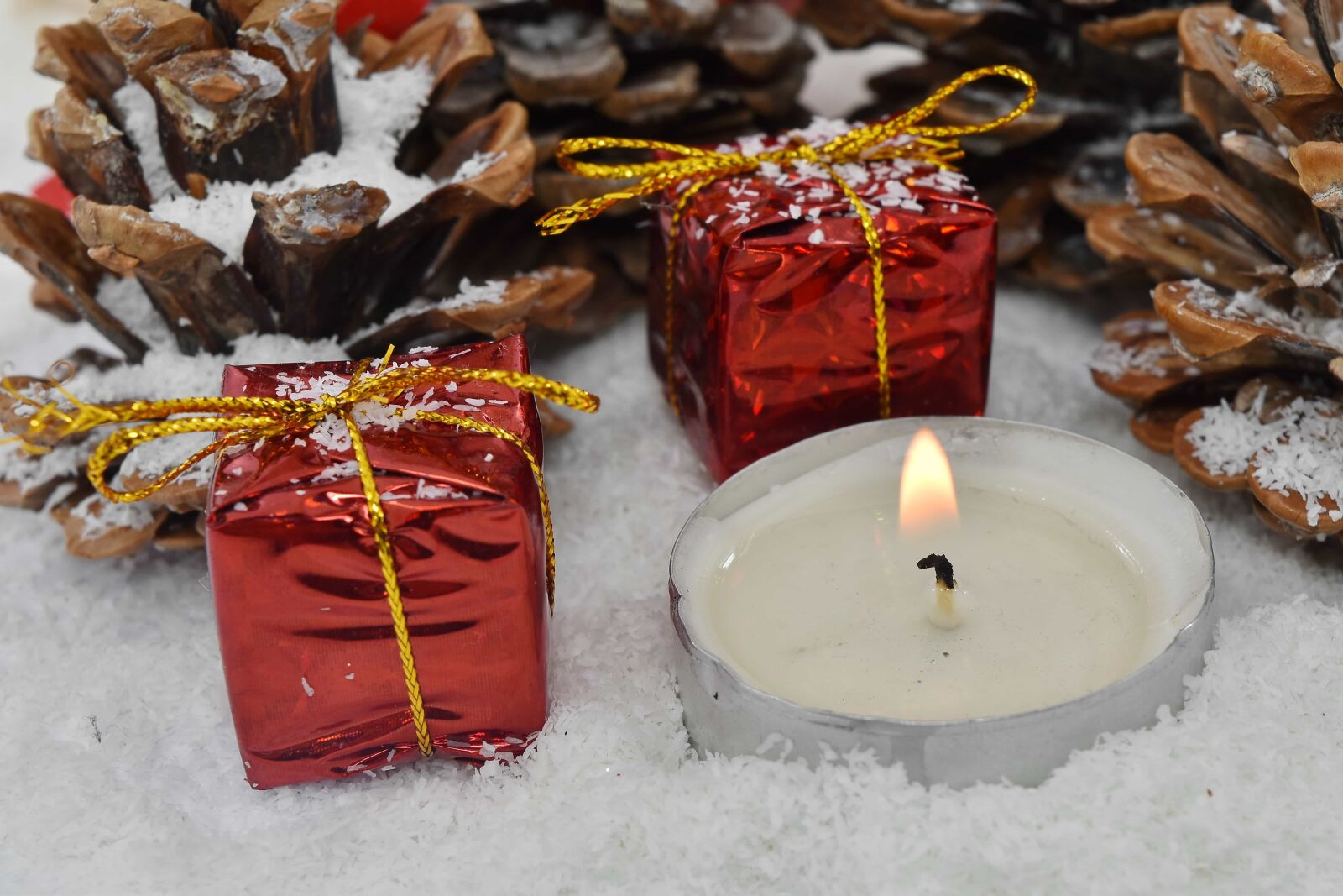Nikon D5500 sample photo. Conifers, gifts, miniature, snowflakes photography