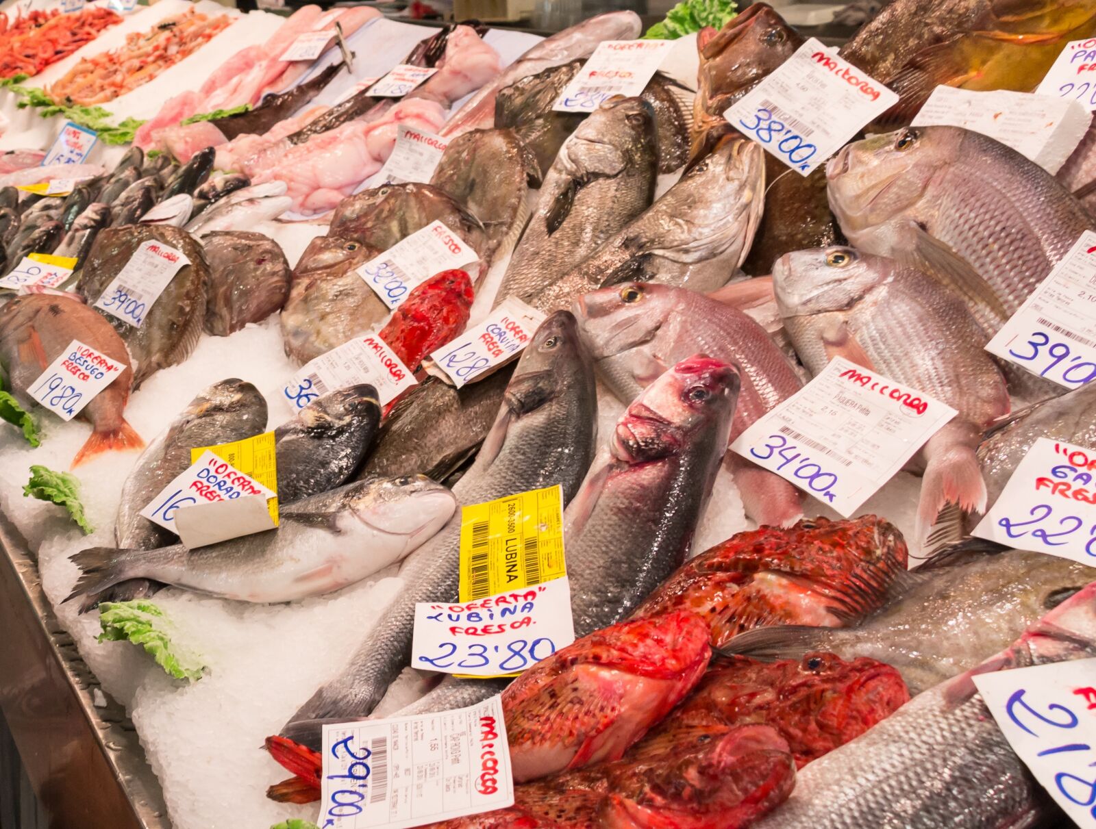 Canon EOS 70D sample photo. Fish, sea, seafood photography