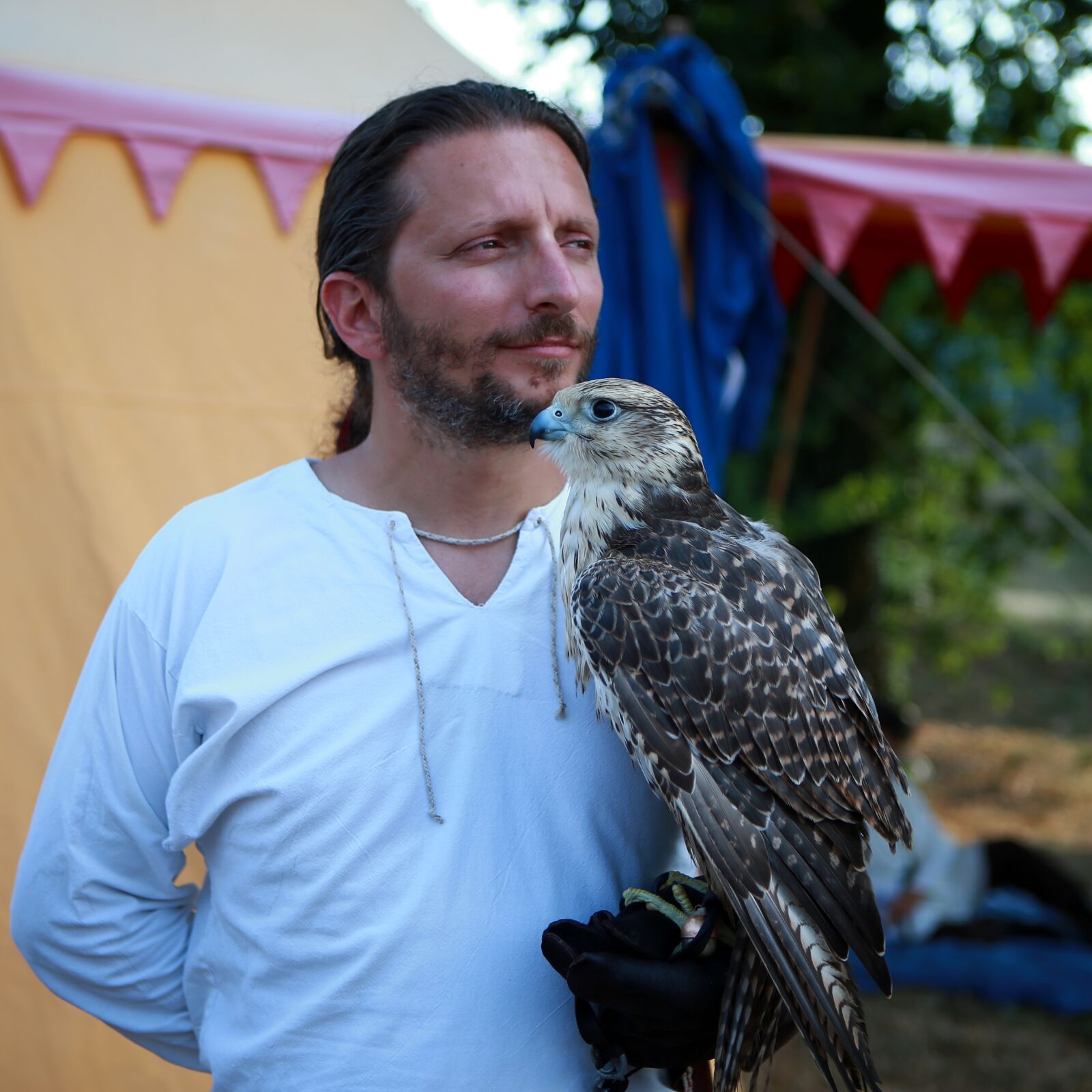 Canon EOS-1D X sample photo. Falco, raptor, bird photography